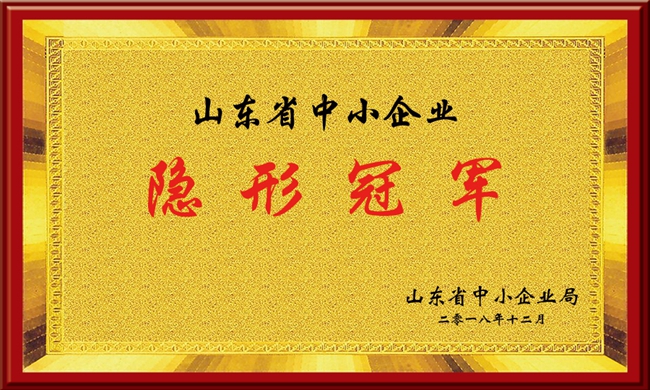 山東省中小企業隱形冠軍