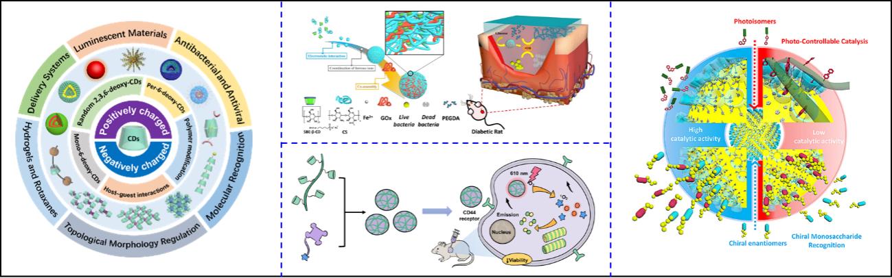 環糊精應用大講堂·劉育教授第二講《環糊精的超分子組裝及其診療研究》完美收官!