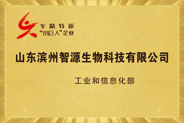 國家級專精特新重點“小巨人”